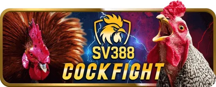 Người xem theo dõi đá gà trên 678win APK